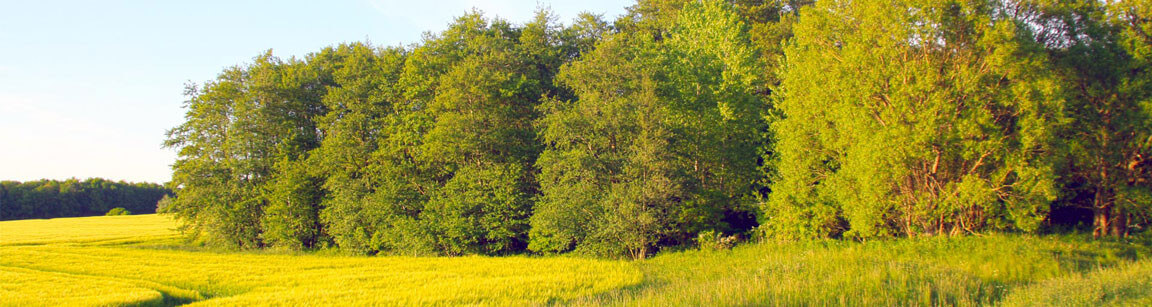 Erholungsurlaub in der Prignitz