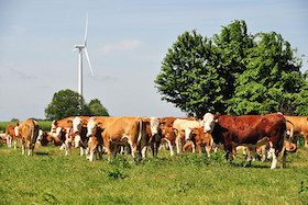 Wochenausflug durchs Prignitzer Land