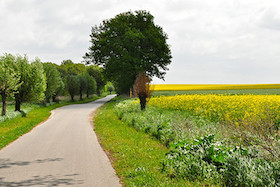 Erholung in Brandenburg